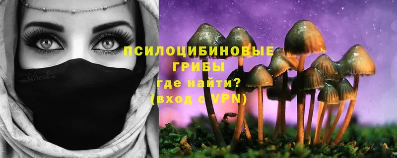 Галлюциногенные грибы Cubensis  Новозыбков 